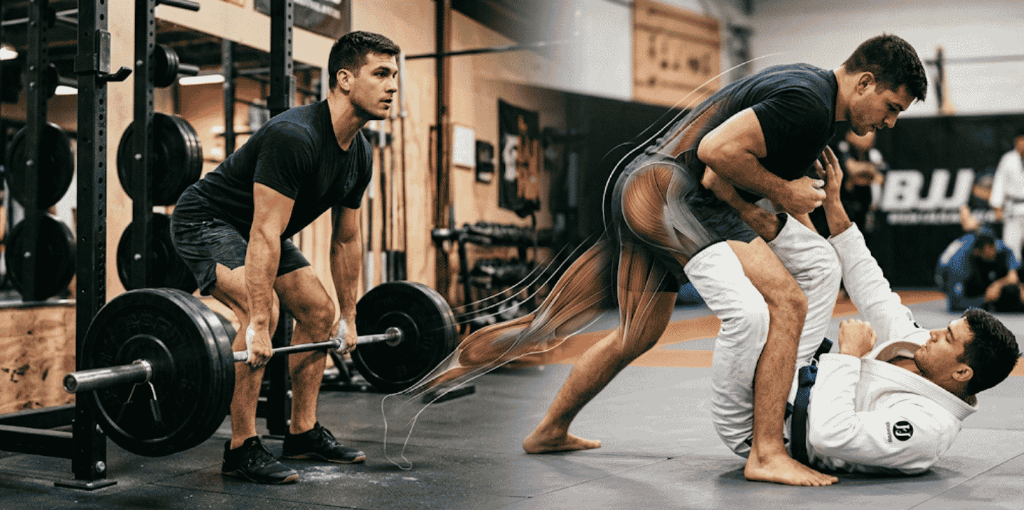 Split view of an athlete deadlifting on the left and wrestling/grappling on the right with muscular highlights